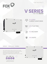 V datasheet